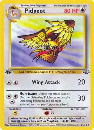Pidgeot 024/064 - Jungle 1st Edition - Rare