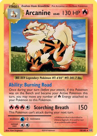 Arcanine 018/108 - XY Evolutions Reverse Holofoil - Rare