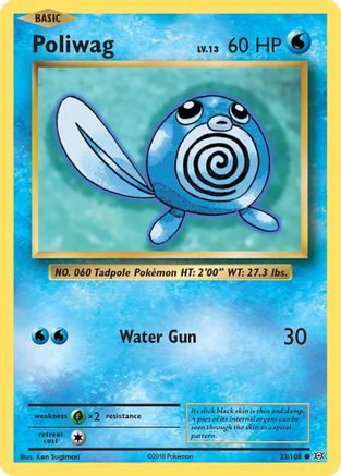 Poliwag 023/108 - XY Evolutions Normal - Common