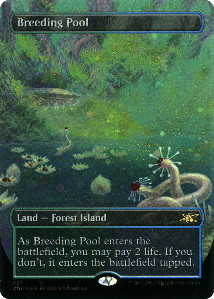 Breeding Pool (Borderless)(UNF-537) - Unfinity Foil