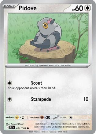 Pidove (71/086) - SV Black Bolt Reverse Holofoil - Common