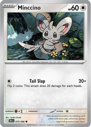 Minccino (75/086) - SV Black Bolt - Common
