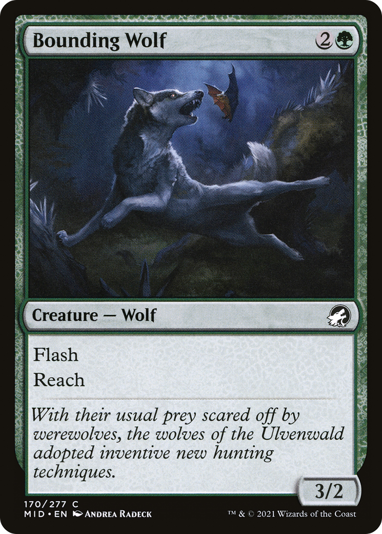Bounding Wolf (MID-170) - Innistrad: Midnight Hunt