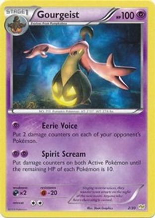 Gourgeist (2) - XY Trainer Kit Sylveon & Noivern - Common
