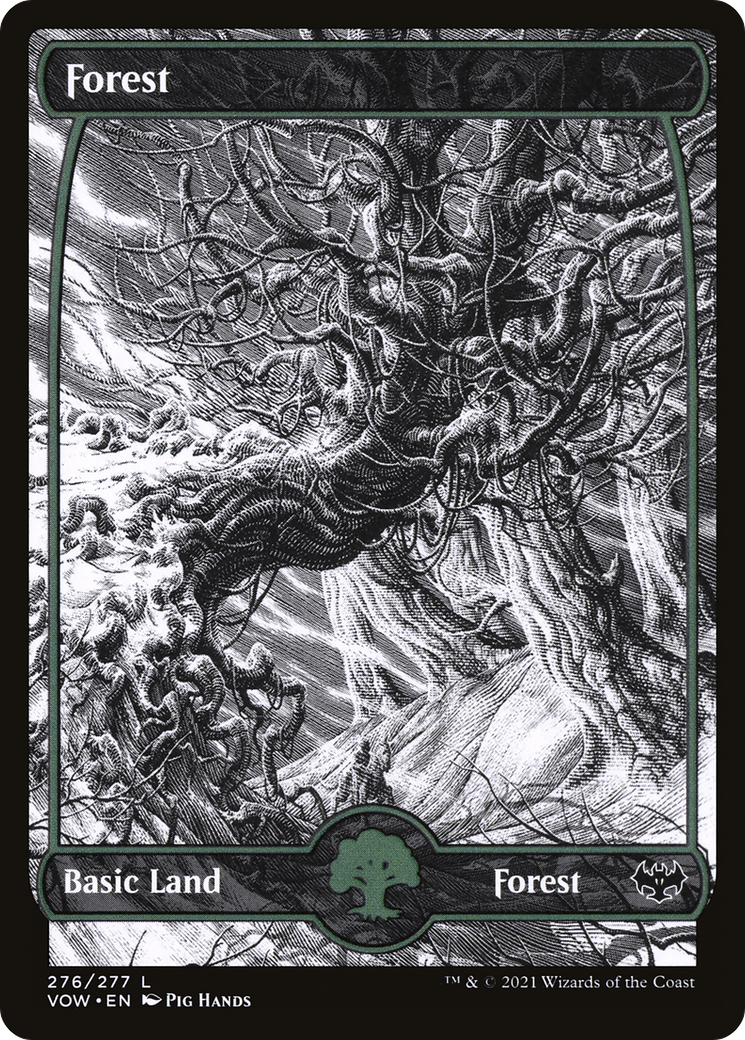 Forest (VOW-276) - Innistrad: Crimson Vow: (Showcase)
