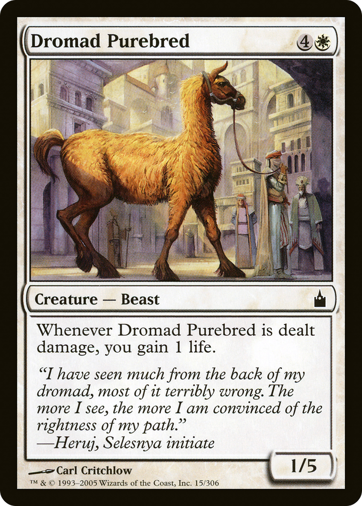 Dromad Purebred (RAV-015) - Ravnica: City of Guilds