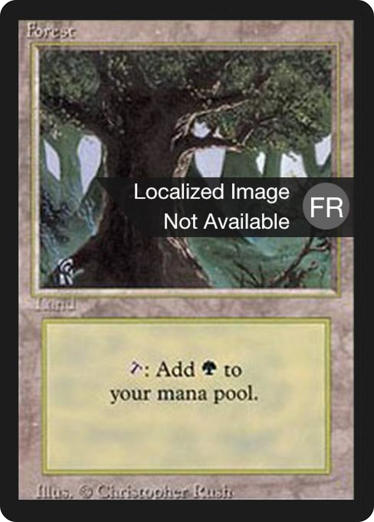 Forest (FBB-304) - Foreign Black Border