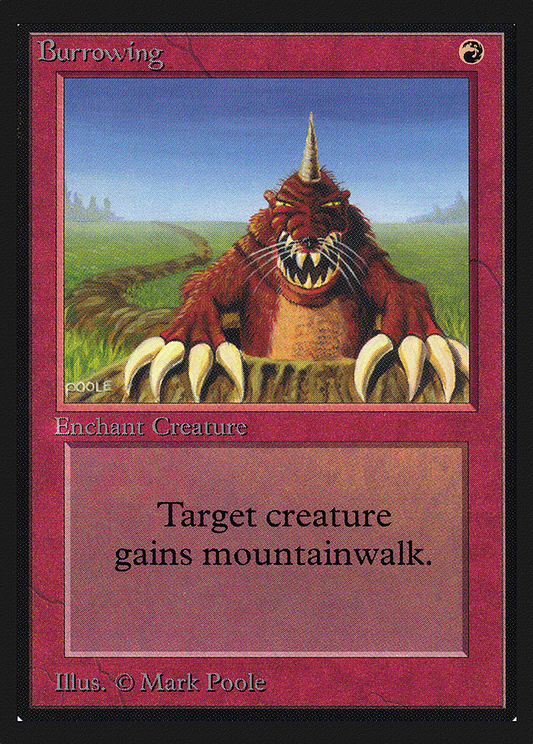 Burrowing (IE) (IED-) - Intl. Collectors' Edition