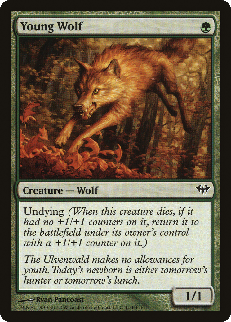 Young Wolf (DKA-134) - Dark Ascension Foil