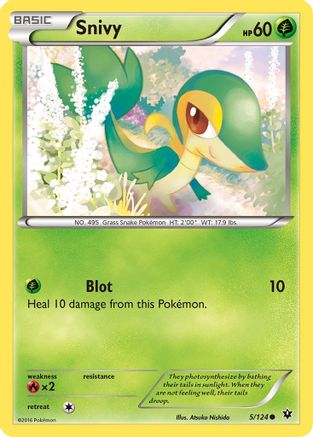 Snivy 5/124 - Fates Collide