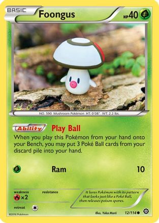 Foongus 012/114 - XY  Steam Siege Normal - Common