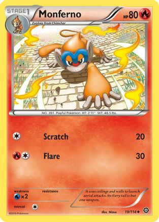 Monferno 019/114 - XY  Steam Siege Reverse Holofoil - Uncommon