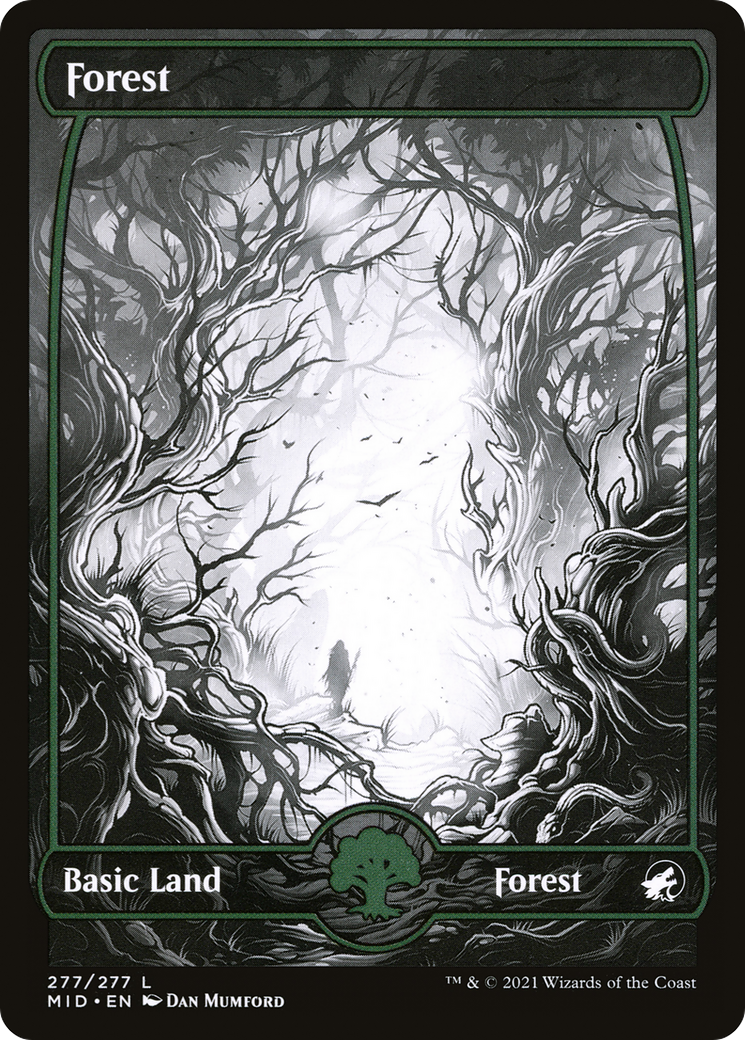 Forest (MID-277) - Innistrad: Midnight Hunt: (Full Art, Showcase)