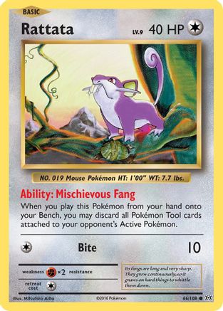 Rattata - 066/108 - XY  Evolutions Reverse Holofoil