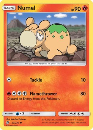Numel (23/236) - SM  Unified Minds Reverse Holofoil - Common