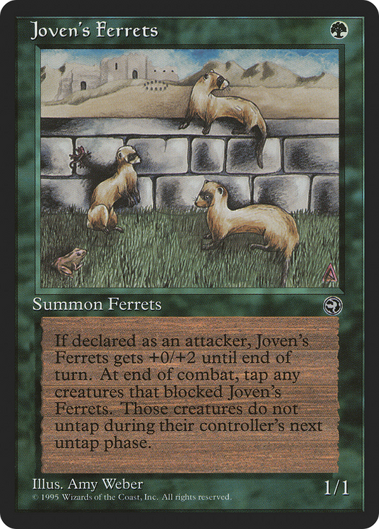 Joven's Ferrets (HML-089) - Homelands