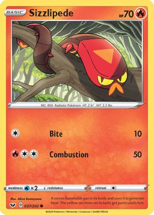 Sizzlipede (037) 037/202 - SWSH01 Sword & Shield Base Set Reverse Holofoil - Common
