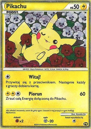 Pikachu (Polish) (PW/null) - Pikachu World Collection Promos Holofoil - Promo
