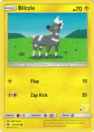 Blitzle - 81/214 (#19 Pikachu Stamped)  - Battle Academy Normal - Promo