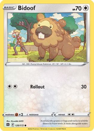 Bidoof 120/172 - SWSH09 Brilliant Stars Normal - Common