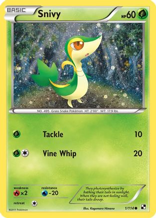 Snivy - 1/114 (Cosmos Holo) 1 - Miscellaneous Cards & Products Holofoil