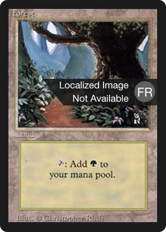 Forest (FBB-305) - Foreign Black Border