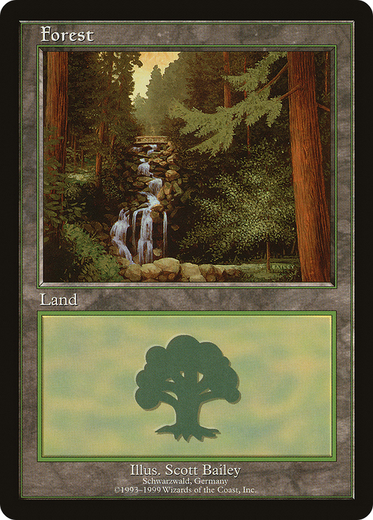 Forest (PELP-001) - European Land Program