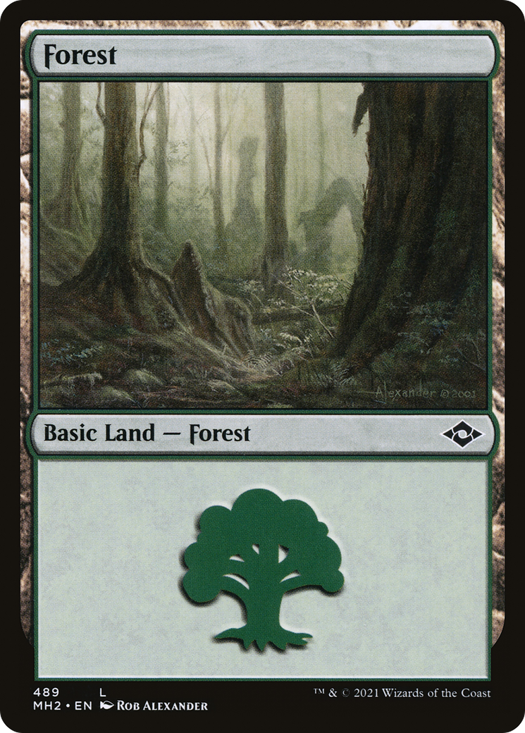 Forest (MH2-489) - Modern Horizons 2 Foil