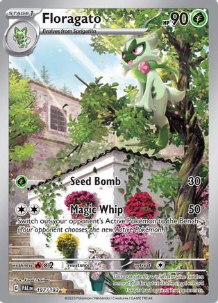 Floragato (197/193) - SV02 Paldea Evolved Holofoil - Illustration Rare
