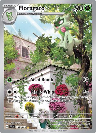 Floragato - 197/193  - SV02 Paldea Evolved Holofoil