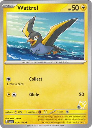 Wattrel - Pikachu 17 ()