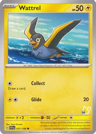 Wattrel - Pikachu 58 ()