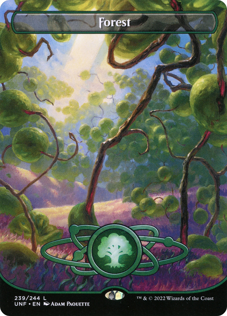 Forest  (Borderless)(UNF-239) - Unfinity Foil