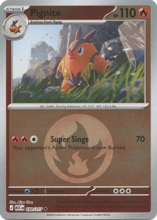 Pignite (Energy Symbol Pattern) (30/null) - ME Ascended Heroes Reverse Holofoil - Uncommon