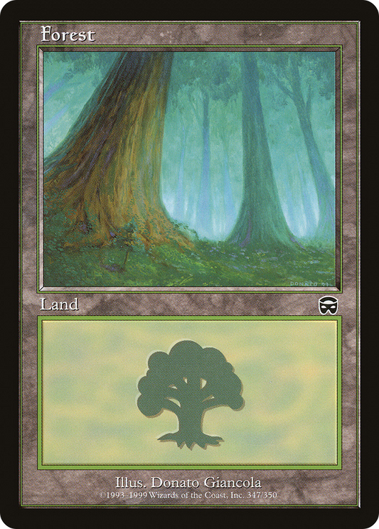 Forest (MMQ-347) - Mercadian Masques Foil