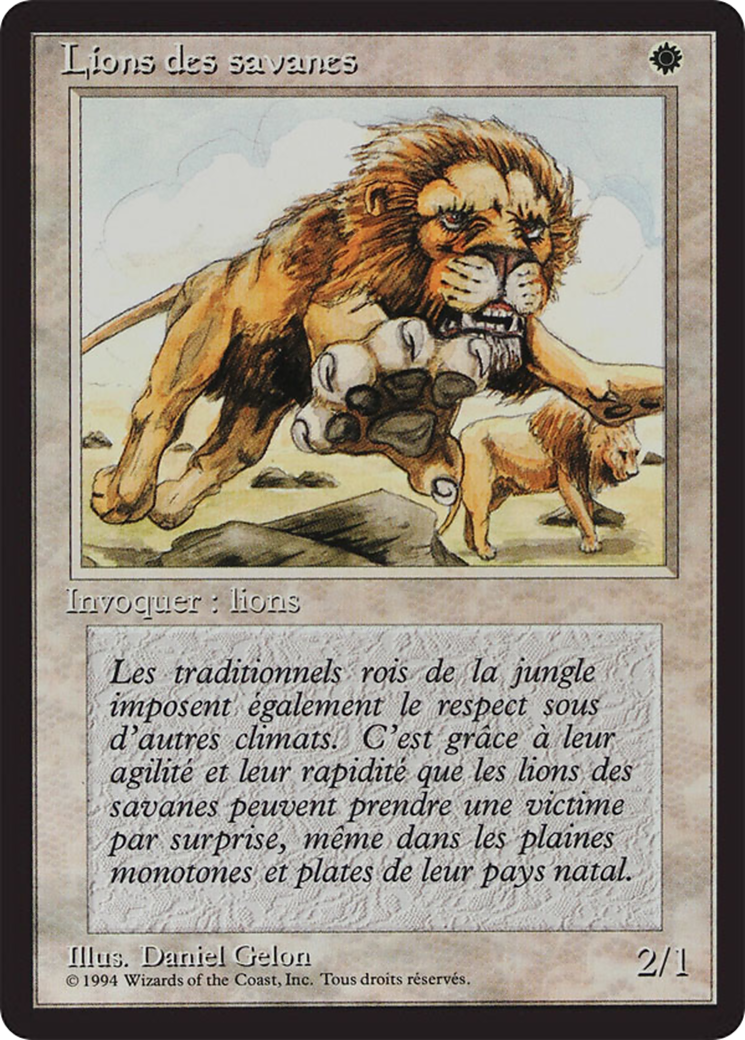 Savannah Lions (FBB-039) - Foreign Black Border