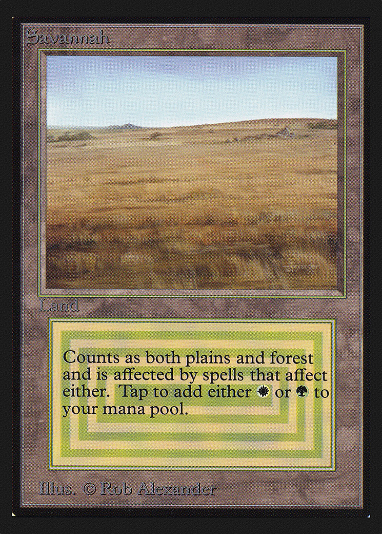 Savannah (IED-) - Intl. Collectors' Edition