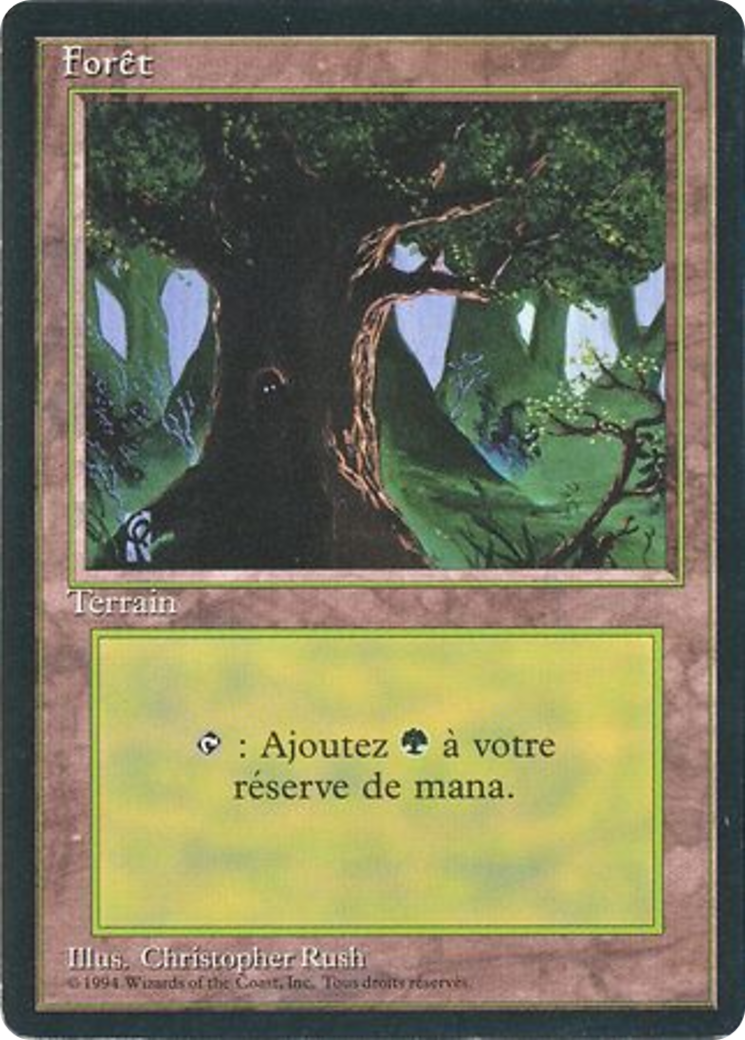 Forest (FBB-306) - Foreign Black Border