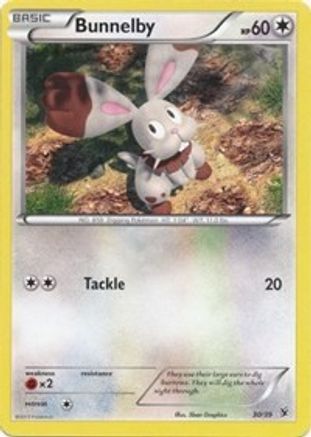 Bunnelby - 030/39 - Kalos Starter Set Normal - Common