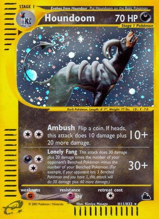 Houndoom (H11) H11 - Skyridge Holofoil - Holo Rare