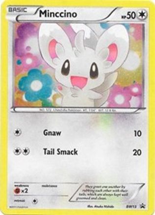 Minccino BW13 - Black and White Promos Holofoil - Promo