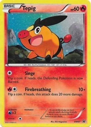 Tepig BW07 - Black and White Promos Holofoil - Promo