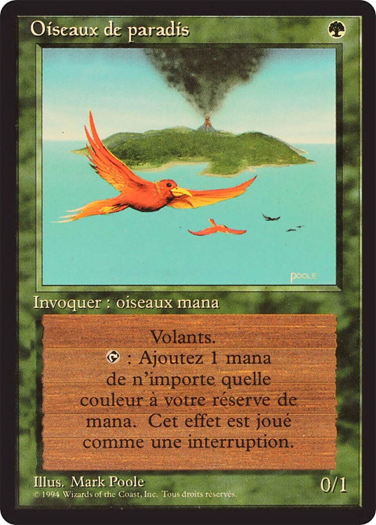 Birds of Paradise (FBB-187) - Foreign Black Border