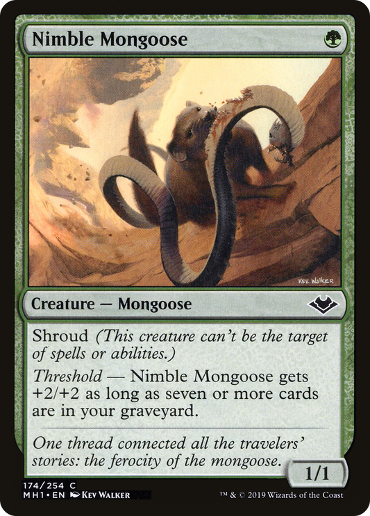 Nimble Mongoose (MH1-174) - Modern Horizons Foil