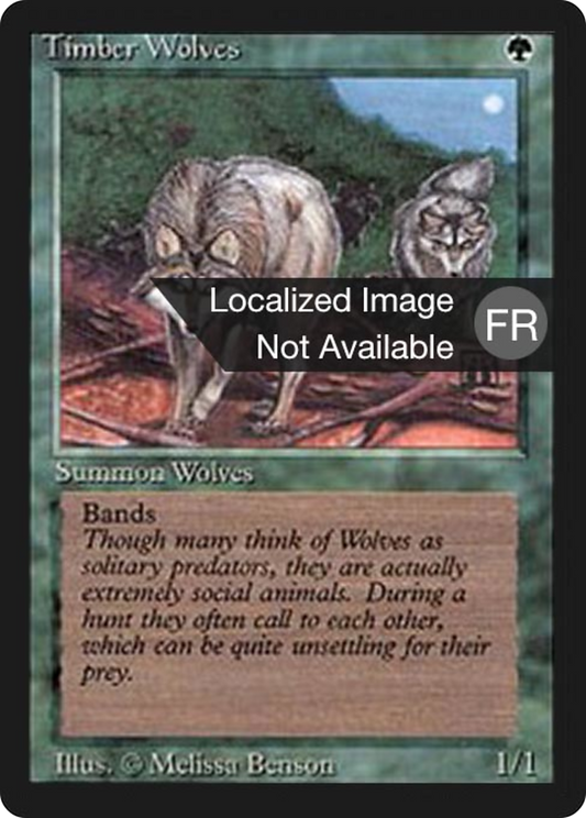 Timber Wolves (FBB-219) - Foreign Black Border