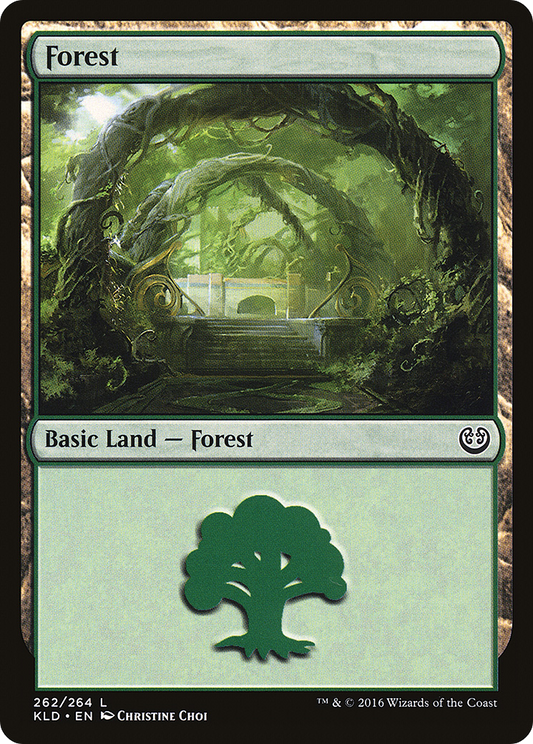 Forest (KLD-262) - Kaladesh