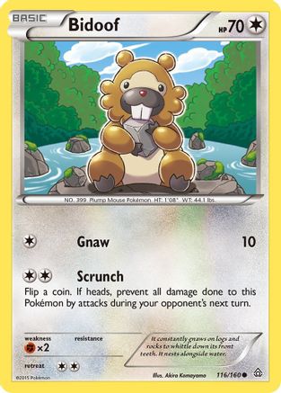 Bidoof 116/160 - XY  Primal Clash Reverse Holofoil - Common
