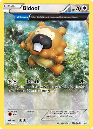Bidoof (Alpha) 117/160 - XY  Primal Clash Reverse Holofoil - Uncommon