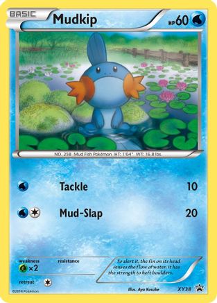 Mudkip XY38/211 - XY Black Star Promos Holofoil