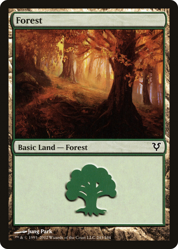 Forest (AVR-243) - Avacyn Restored Foil